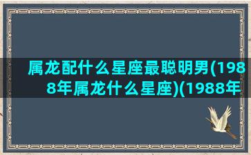 属龙配什么星座最聪明男(1988年属龙什么星座)(1988年属龙的最佳配偶 和什么属相最配)